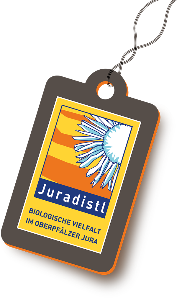 Juradistl - Biologische Vielfalt im oberpfälzer Jura